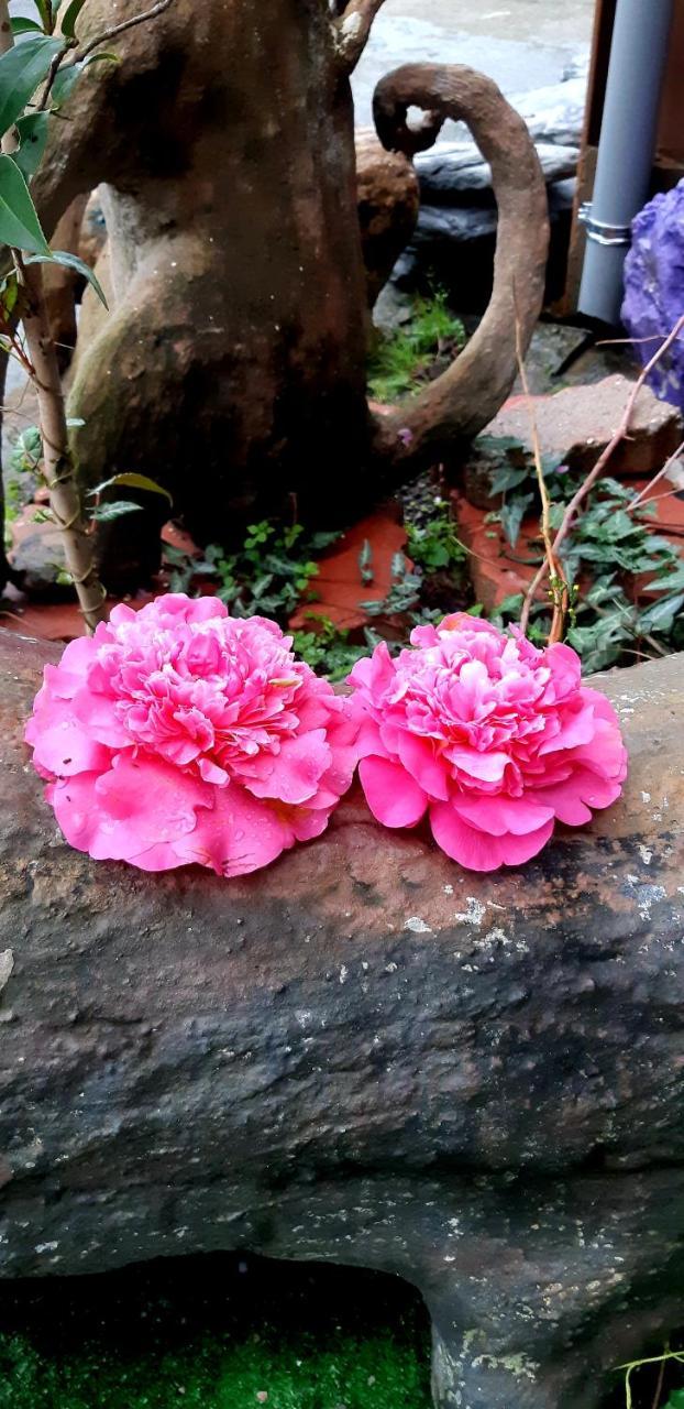 Lushan Xiangting Tea Homestay Renai Exterior foto
